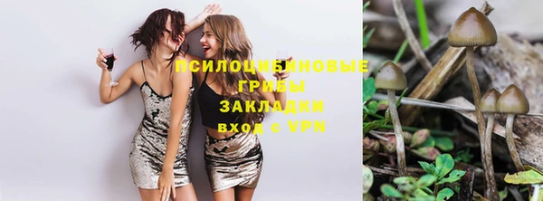 а пвп мука Гусиноозёрск