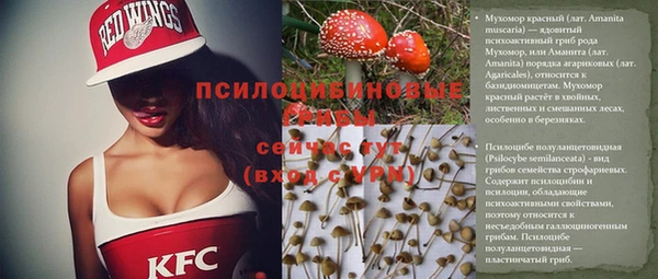 а пвп мука Гусиноозёрск